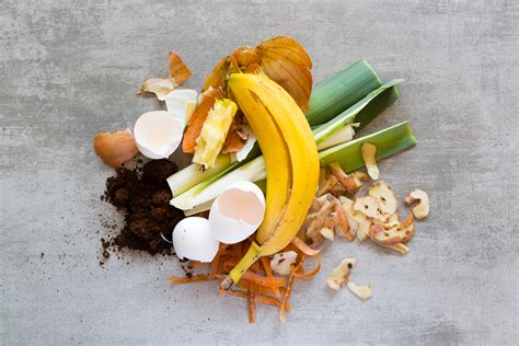 Organic Waste To Make Compost | Barna Recycling