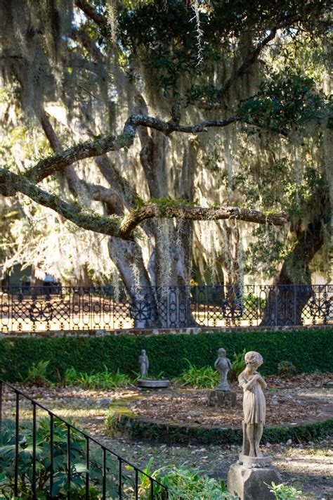 Wormsloe Plantation - Savannah Travel Blog And Guide - For 91 Days