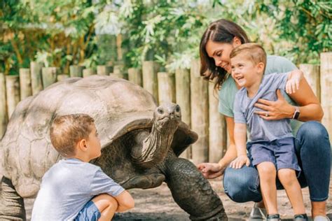 Unforgettable Animal Encounters at ZooTampa You Can't Miss