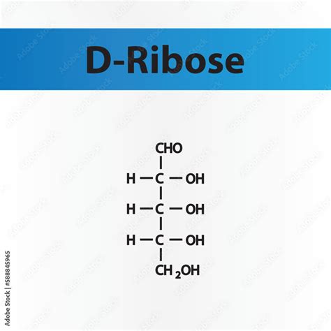 Straight chain form chemical structure of D-Ribose sugar. Scientific ...