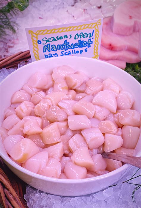 A Precious Gift- Fresh From Nantucket: Bay Scallops! - Monahan's Seafood Market | Fresh Whole ...