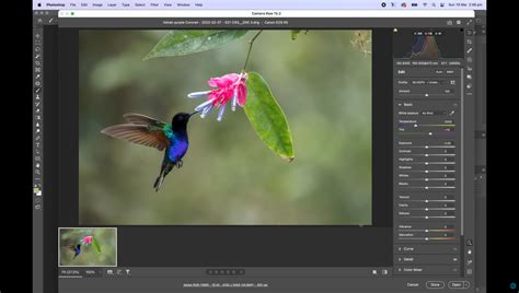 Editing Tips That Can Transform Your Photos – Seriously Photography