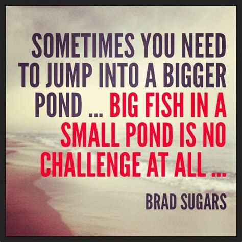 Sometimes you need to jump into a bigger pond... big fish in a small ...