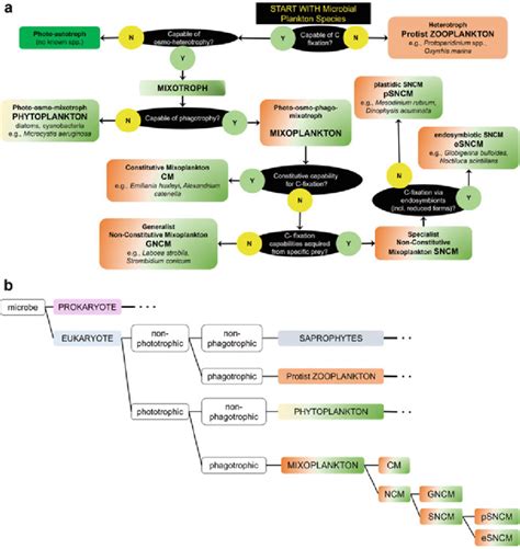 2 Classification of the Indian Ocean marine microbial plankton under ...