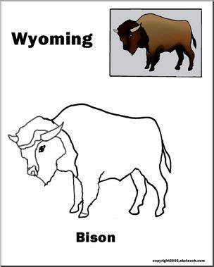 Wyoming: State Animal – Bison – Abcteach