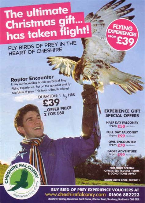 Chester Tourist - Bird of Prey Centre