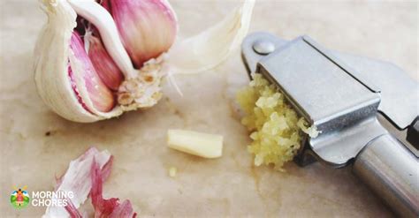 5 Best Garlic Press Reviews: The Quick and Easy Way to Mince Garlic