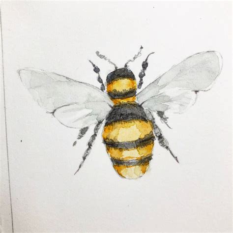 Watercolor Bee By Anja A Waage Watercolor Projects, Watercolor ...