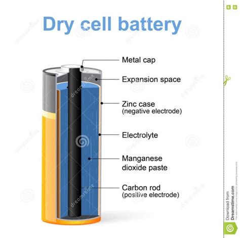 Parts Of A Dry Cell Battery Stock Vector | Best Diagram Collection