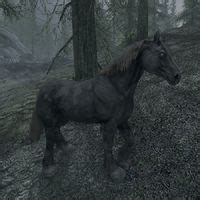 Skyrim:Wild Horse - The Unofficial Elder Scrolls Pages (UESP)