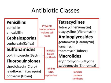 Classes of antibiotics and how they work