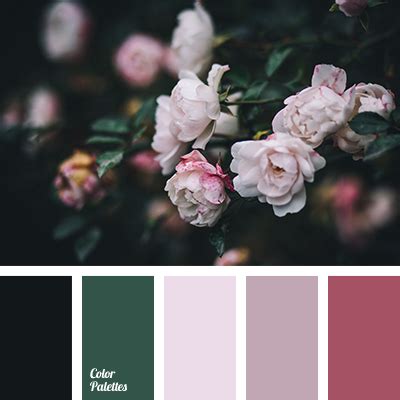 pink and black | Color Palette Ideas