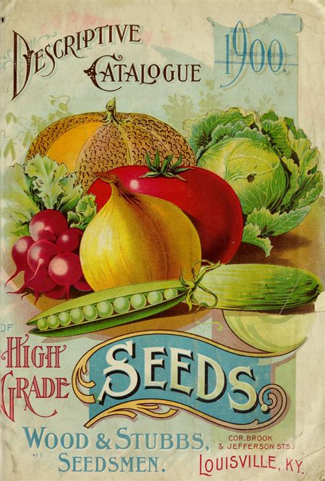 Vegetables Vintage Illustration Free Stock Photo - Public Domain Pictures