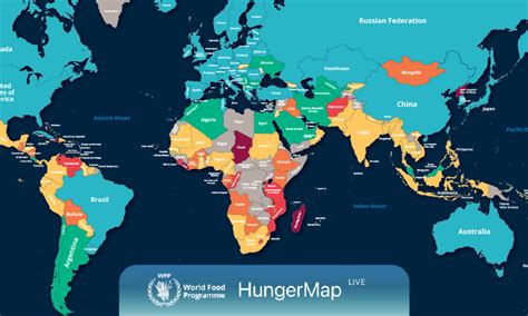 Hunger 2024 Analysis - Nari Tamiko