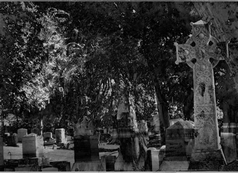 Haunted Graveyard Free Stock Photo - Public Domain Pictures