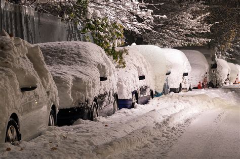 Snow covered cars on street – Creative Organics Lawn & Garden