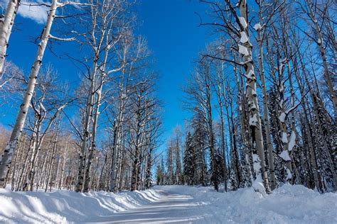 A Wintry Escape for A Steamboat Skiing Adventure - Travel Addicts