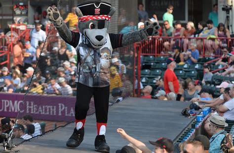 Top 10 mascots: Erie SeaWolves' C. Wolf named to USA TODAY MiLB list