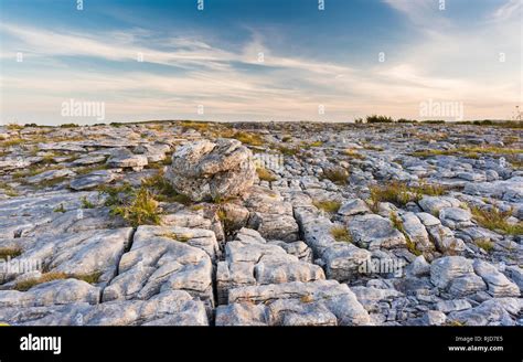 Limestone pavement in the Burren County Clare, Ireland Stock Photo - Alamy