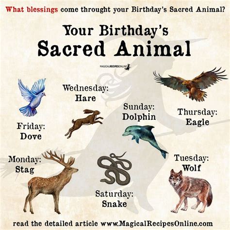 What Is My Chinese Spirit Animal By Birthday – Calendar Example And Ideas