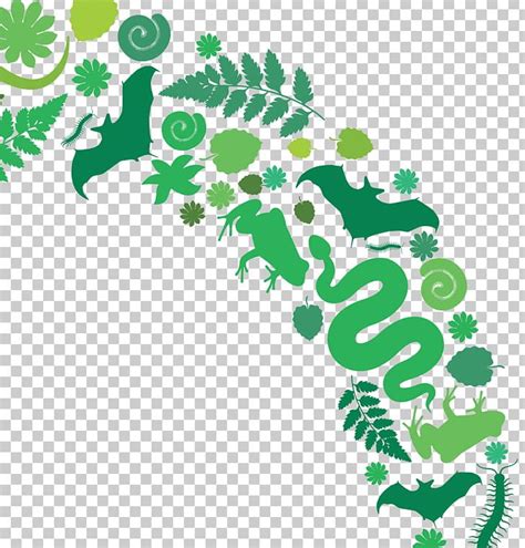 The Green Planet Dubai Sloth Education PNG, Clipart, Allinclusive Resort, Book, Branch, Dubai ...