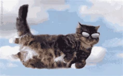 Cat Flying GIF – Cat Flying Clouds – Откриване и споделяне на GIF файлове