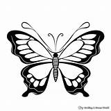 Symmetrical Coloring Pages  Free & Printable sketch template