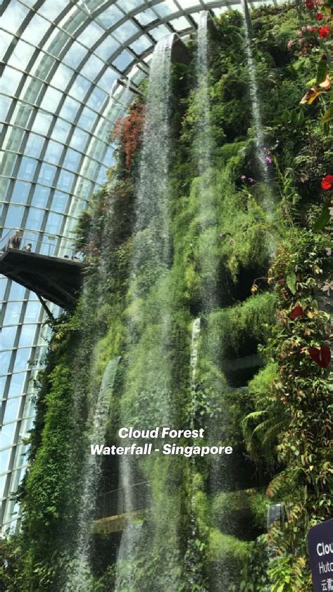 Cloud Forest Waterfall - Singapore | Arquitectura verde, Arquitectura ...