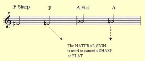 The Natural Sign in Music