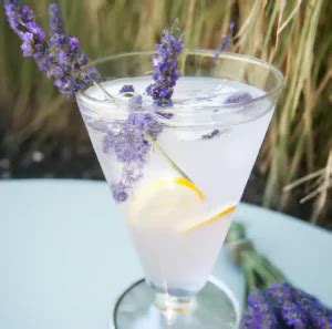 Lavender Lemonade Cocktail Recipe - MrsCookBook