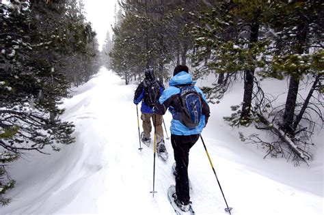 snowshoe hiking trails near me - Dani Combs