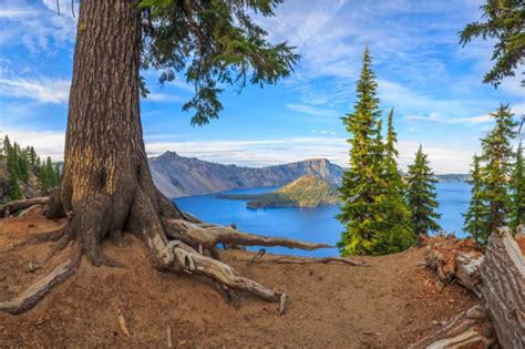 Guide to the Best Camping in Crater Lake National Park