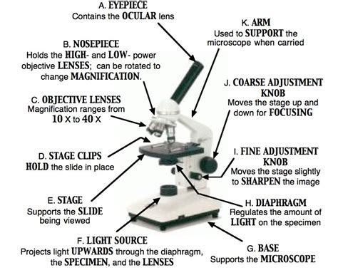 Parts of the Microscope - quiz 1/18/18 (must get 16:20 to dissect) Diagram | Quizlet