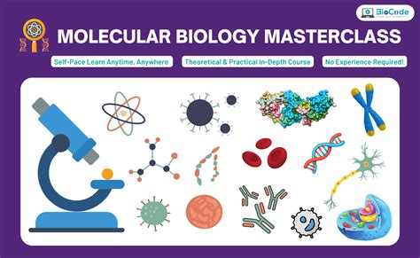 Molecular Biology MasterClass | Learn Bioinformatics