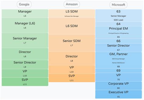 The Skills Map of Senior Tech Career Progression | Code Capsule