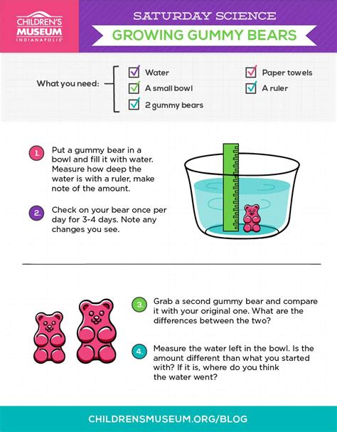 Saturday Science Growing Gummy Bears The Children's — db-excel.com