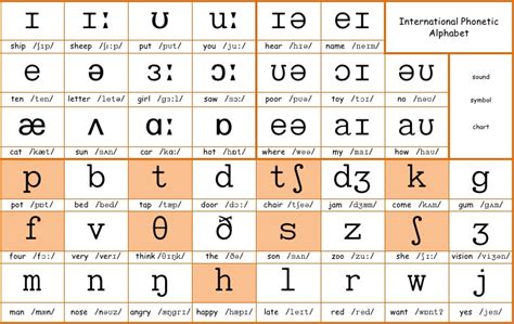 International Phonetic Alphabet Vowels / International phonetic ...