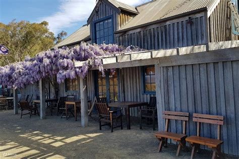 Wineglass Bay and Freycinet Peninsula Private Tour - Klook