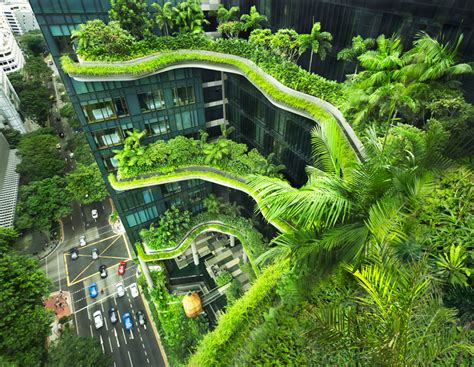 Biophilic Design in Asia | Human Spaces