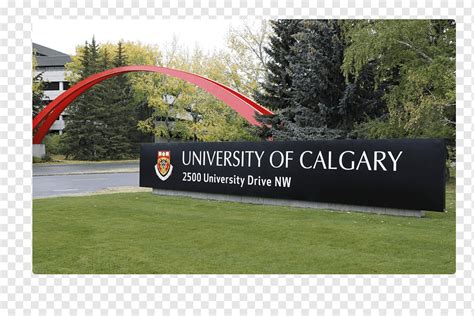 University of Calgary Student School Master's Degree, student, png ...