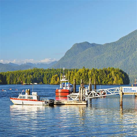 A Weekend in Tofino, Vancouver Island | Moon Travel Guides