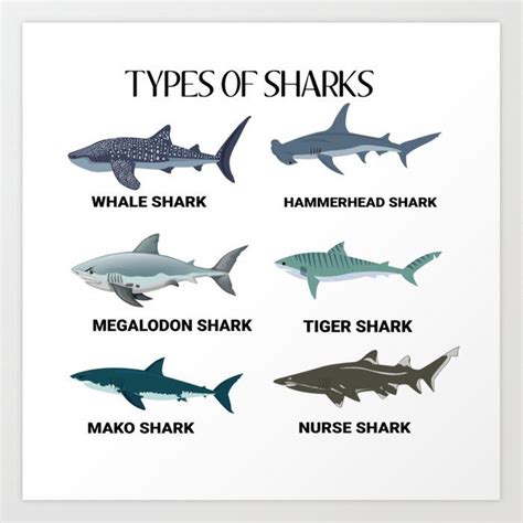 Types Of Sharks! Art Print by Gooddesigns80 - X-Small | Types of sharks ...