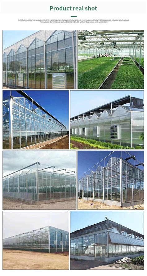 Agriculture Frame Greenhouse Project Steel Frame Intelligent Glass Greenhouse Smart Greenhouse ...