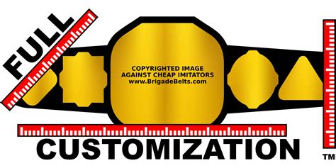 Full Custom Championship Belt - You Design the Belt - Gold