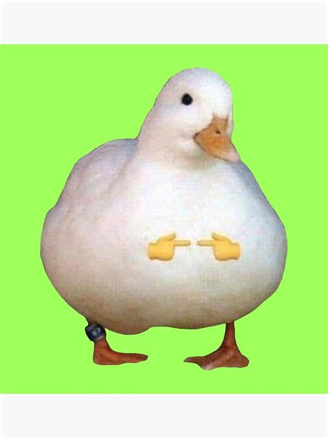 "Cute Duck Meme" Poster for Sale by tttatia | Redbubble