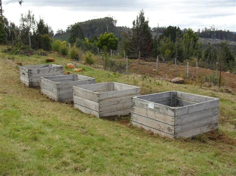 Huon View: Apple crates in place