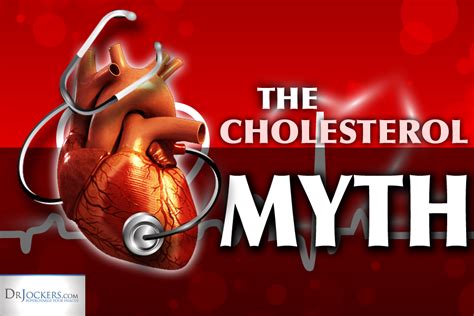 Debunking The Cholesterol Myth And Why Statins Are a BAD Idea - Mojo ...