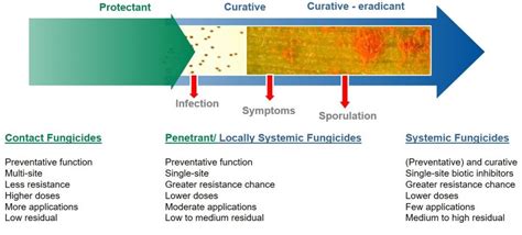 Fungicide Mode-of-Action