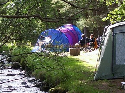 Rothiemurchus Camping Caravan Park , Aviemore Campsites, Inverness-Shire