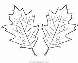 Autumn Leaves Coloring Pages sketch template